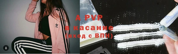 ПСИЛОЦИБИНОВЫЕ ГРИБЫ Алексин