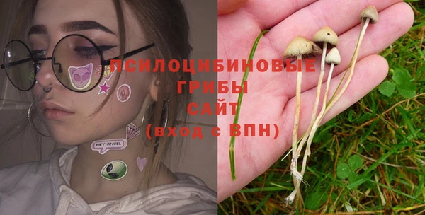ПСИЛОЦИБИНОВЫЕ ГРИБЫ Алексин
