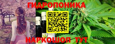 гидропоника Ливны