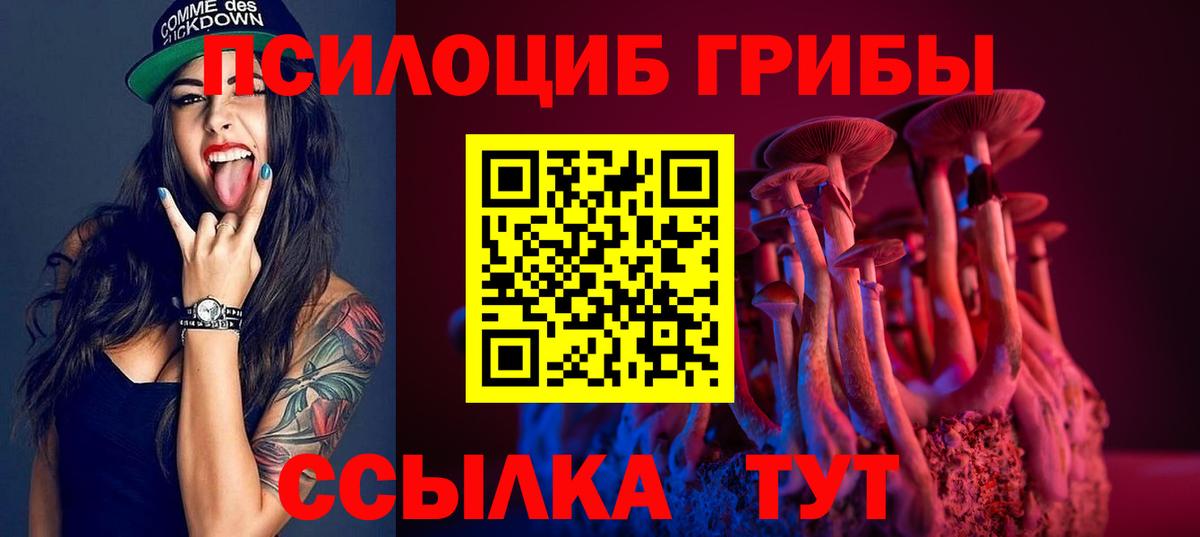 Галлюциногенные грибы Cubensis  Псилоцибиновые грибы прущие грибы  Киров  Вход с VPN 